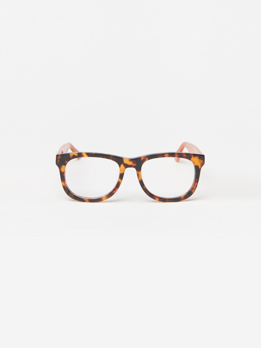 Barlett Readers in Tortoise