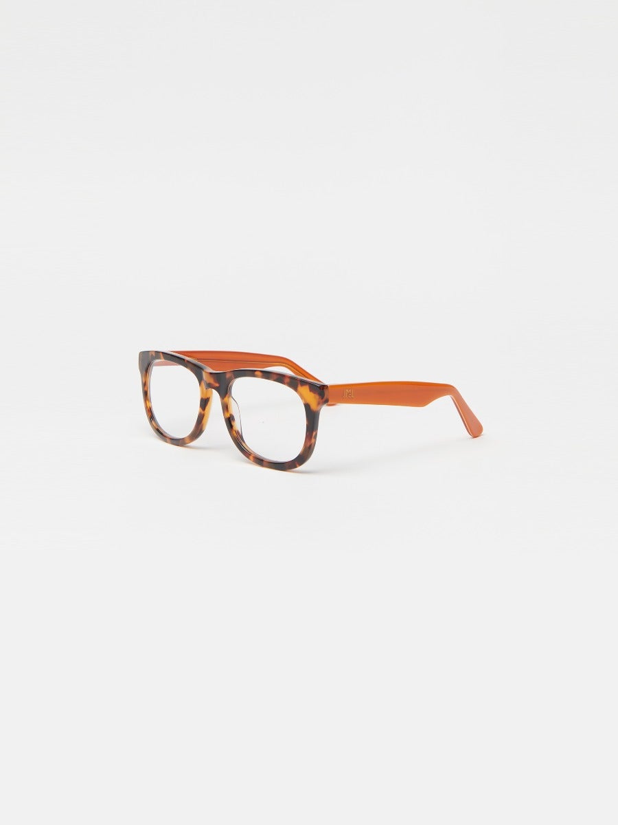 Barlett Readers in Tortoise