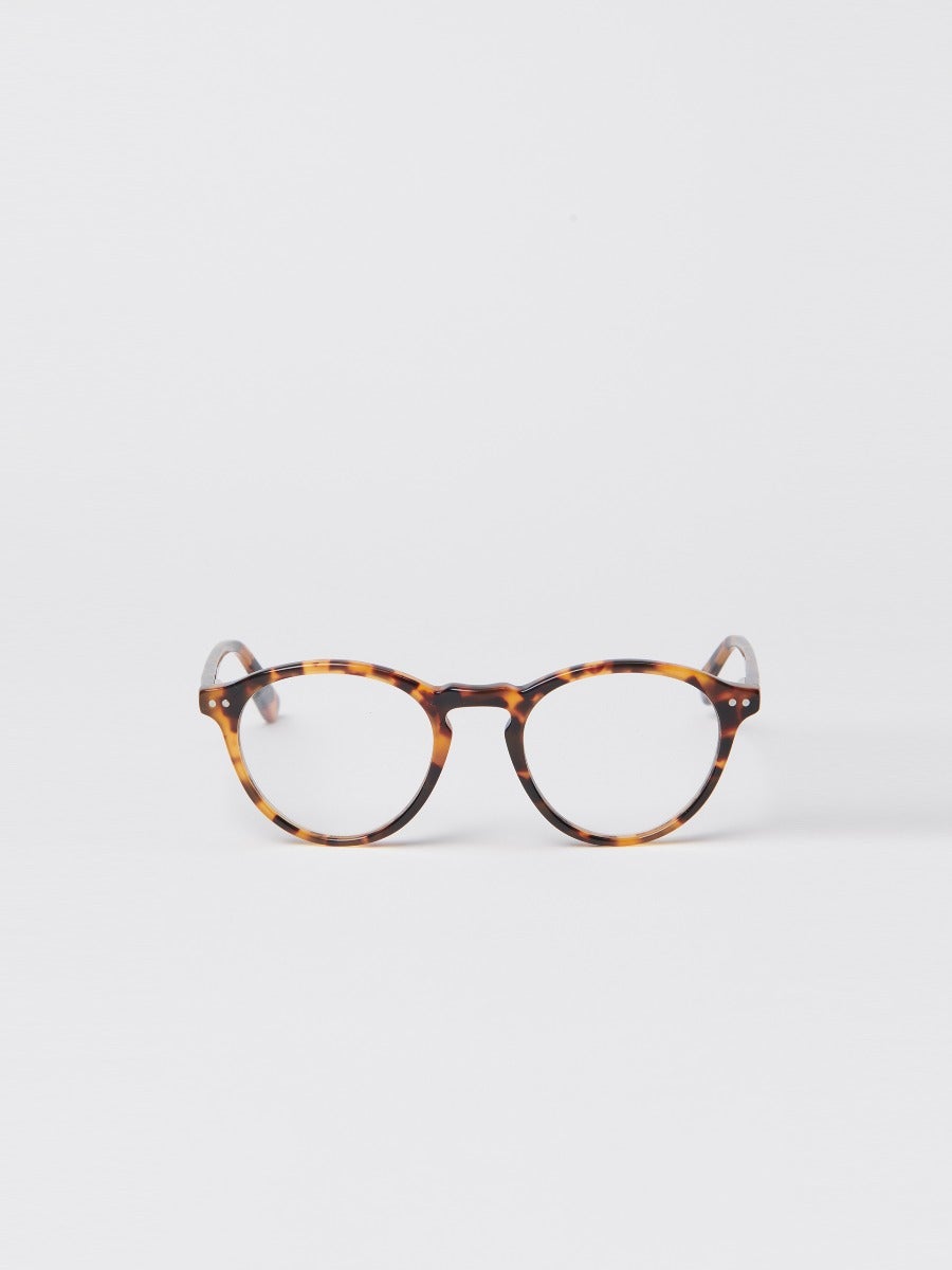 Lansing Readers in Tortoise