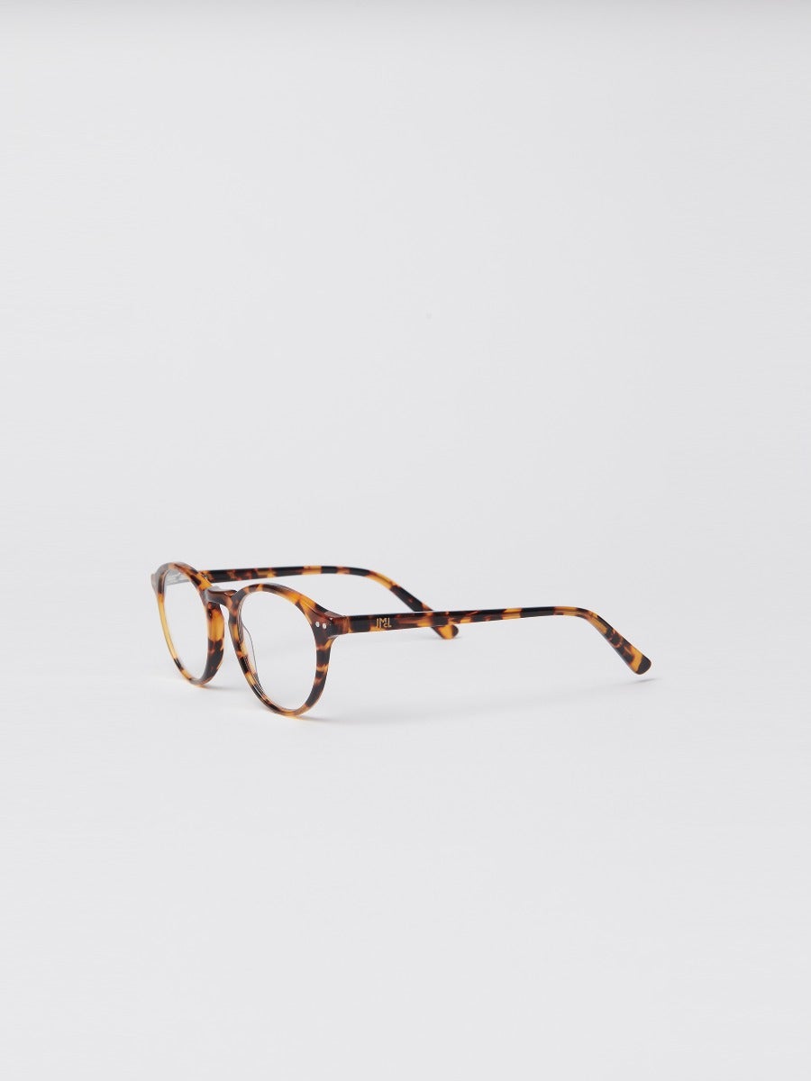Lansing Readers in Tortoise