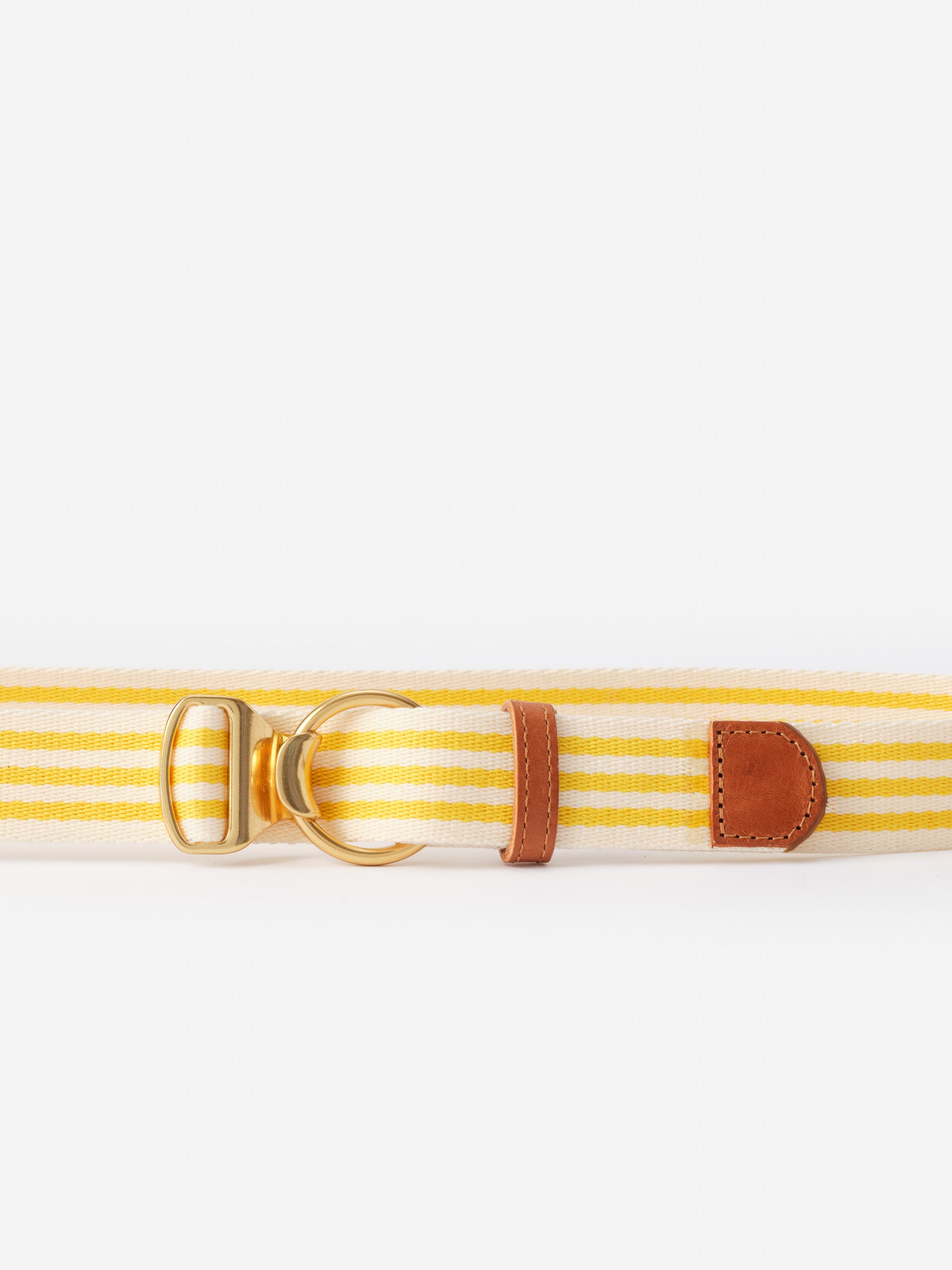 Mini Isobel Canvas Belt in Stripe by J.McLaughlin, featuring yellow and white stripes with leather accents and gold hardware, exemplifying effortlessly stylish, enduring designs and innovative fabrics.