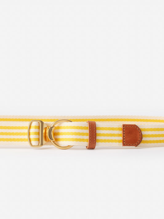 Mini Isobel Canvas Belt in Stripe by J.McLaughlin, featuring yellow and white stripes with leather accents and gold hardware, exemplifying effortlessly stylish, enduring designs and innovative fabrics.
