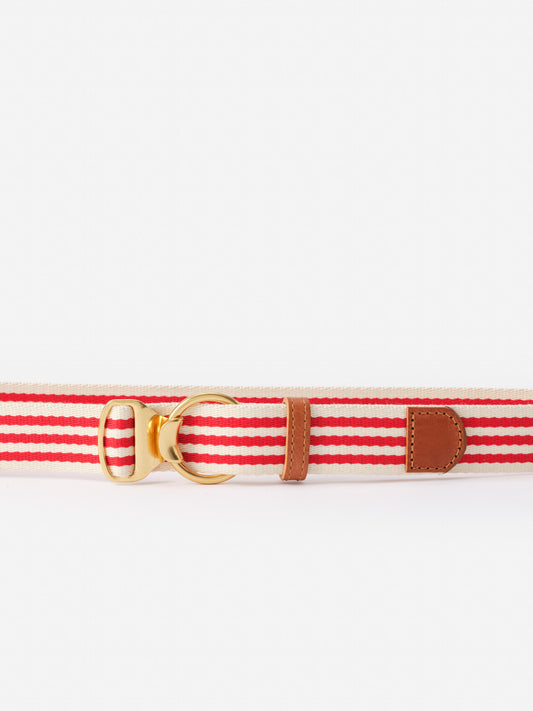 Mini Isobel Canvas Belt in Stripe by J.McLaughlin features effortlessly stylish red and cream stripes with gold buckle and leather accents, embodying enduring designs and timeless fashion.