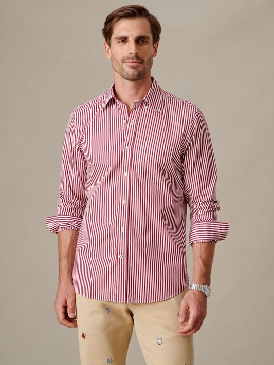 Belvedere Cotton Shirt in Stripe