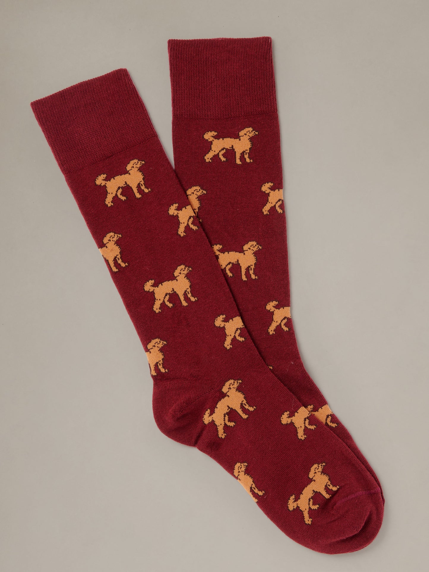 Socks in Best in Show