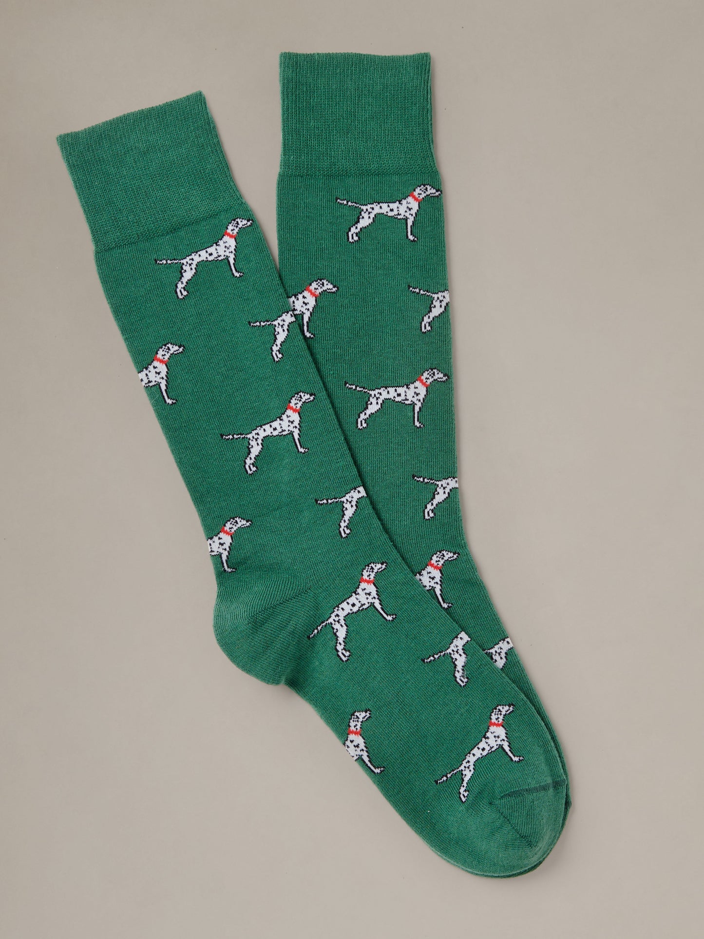 Socks in Spotted Companion